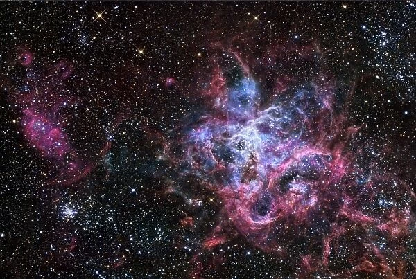 The Tarantula Nebula, a star forming region located in the Large Magellanic Cloud