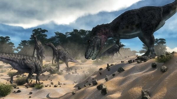 Tarbosaurus surprising a herd of Saurolophus dinosaurs