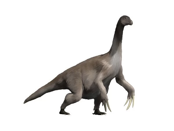 Therizinosaurus dinosaur