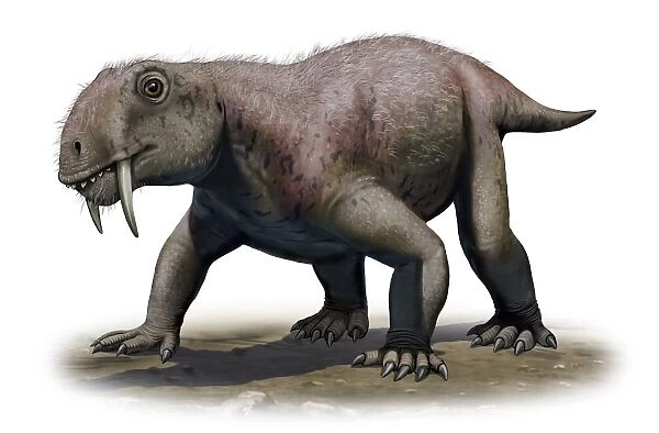 A Tiarajudens eccentricus from the Paleozoic era