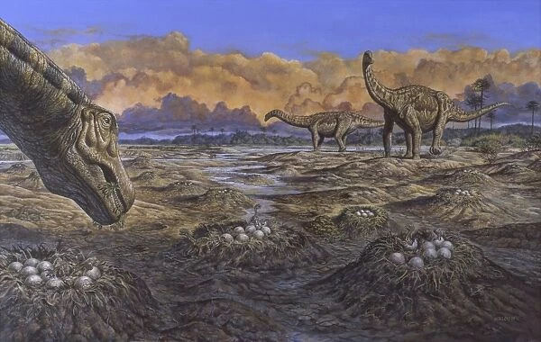 Titanosaur nesting site, Mid-Cretaceous Period of South America