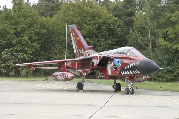 A Tornado ECR of the German Air Force with special paint scheme