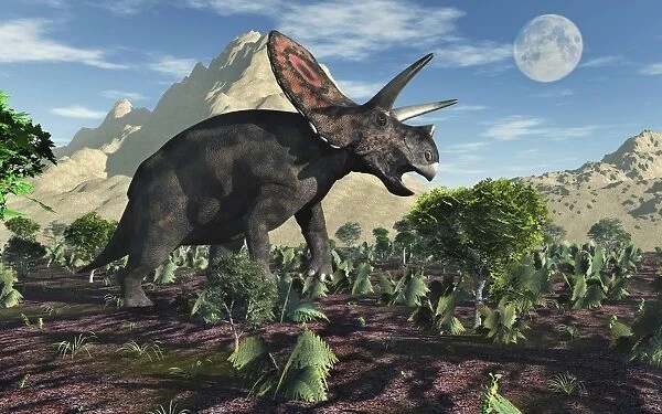 A Torosaurus dinosaur during Earths Cretaceous period