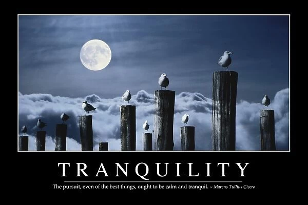 Tranquility: Inspirational Quote and Motivational Poster