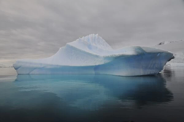 Translucent blue iceberg reflection, Antarctica