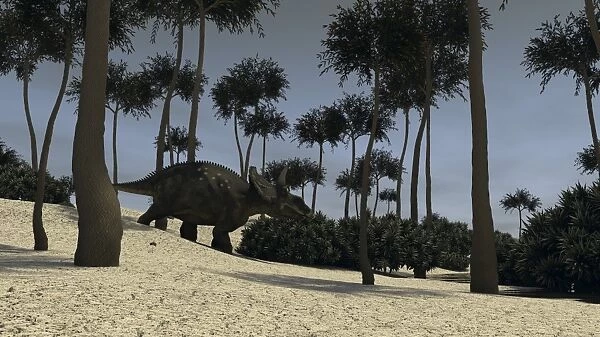 Triceratops in a prehistoric environment