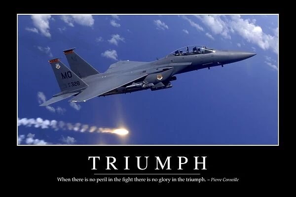Triumph: Inspirational Quote and Motivational Poster
