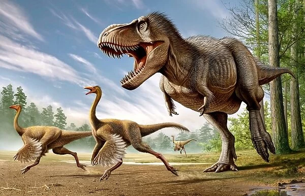 Tyrannosaurus Rex attacking two Struthiomimus dinosaurs