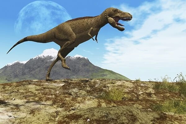 A Tyrannosaurus Rex dinosaur walks through his territory