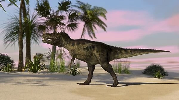 Tyrannosaurus Rex hunting in a tropical environment