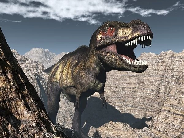 Tyrannosaurus rex roaring in a canyon