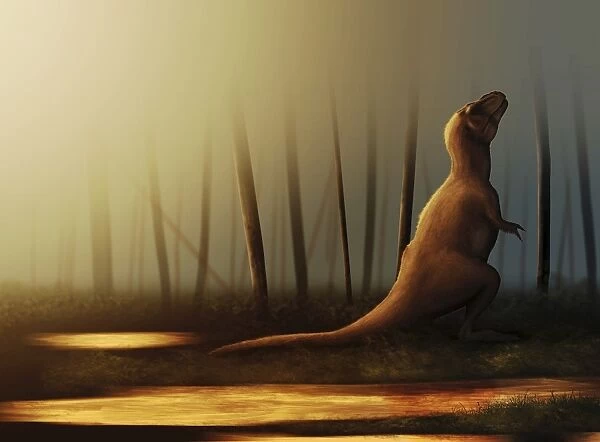 Tyrannosaurus rex sunbathing after the rain