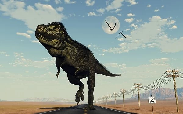 Tyrannosaurus rex walking on Route 66
