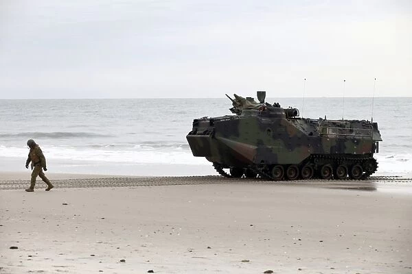 A U. S. Marine guides an amphibious assault vehicle on Onslow Beach