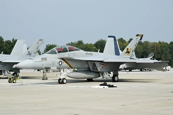 U. S. Navy F  /  A-18F Super Hornet at Naval Air Station Oceana, Virginia