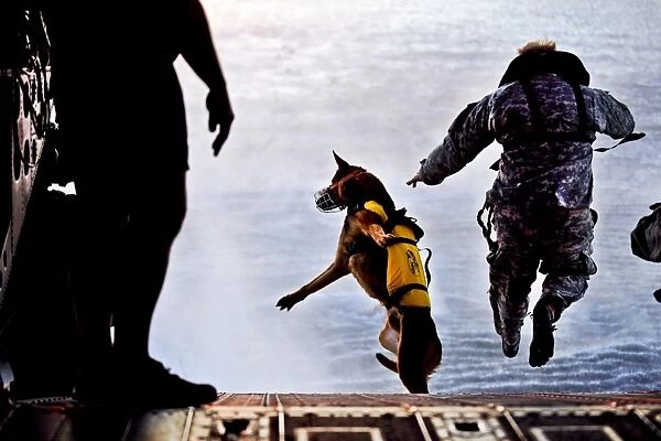 A U. S. Soldier and his military working dog jump off the ramp of a CH-47 Chinook