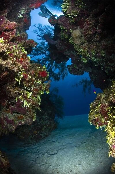 Underwater crevice through a coral reef, Belize
