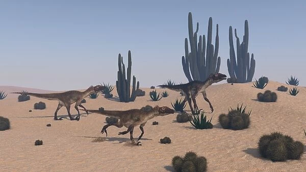 Utahraptors roaming a desert environment