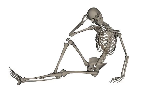 Front view of a human skeleton posing