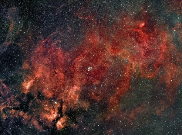 Widefield view of the Crescent Nebula