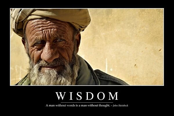Wisdom: Inspirational Quote and Motivational Poster