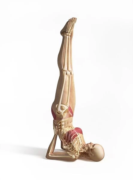 Woman doing gymnastics on the floor, with skeleton superimposed