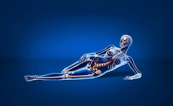 X-ray view of a woman laying down with skeletal bones superimposed