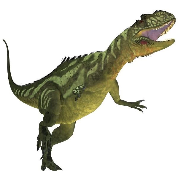 Yangchuanosaurus, a theropod dinosaur from the Jurassic Period