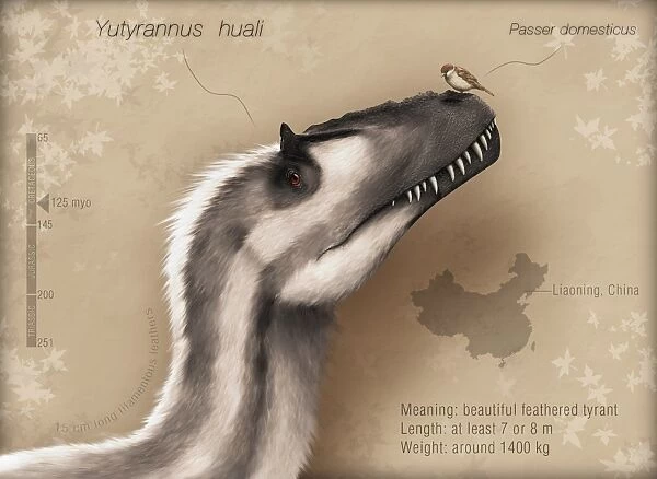 Yutyrannus huali is a feathered tyrannosauroid from the Early Cretacous of China