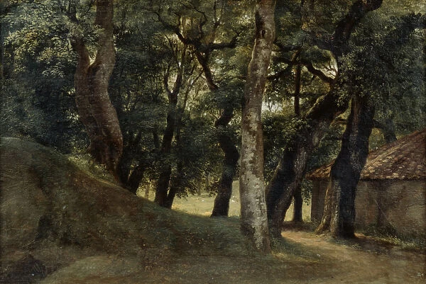 Forest of the Villa Borghese, late 18th  /  early 19th century. Artist: Pierre Henri de Valenciennes