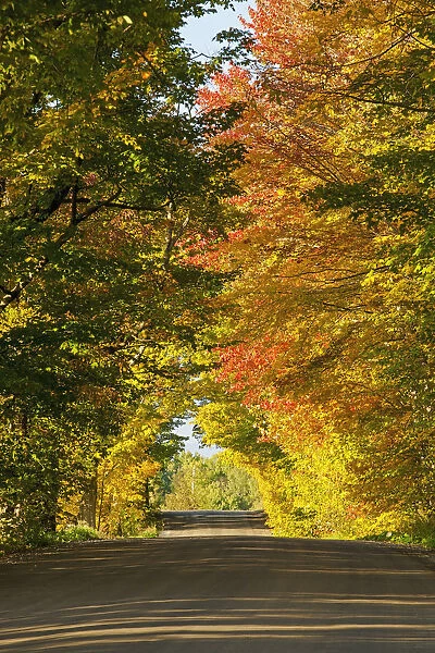Country Road In Autumn; West Bolton, Quebec, Canada