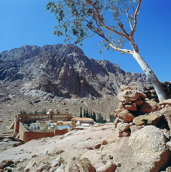 Sinai. Total of the monastery of St. Catherine (557 AD) at the foot of Mount Horeb, the garden of the monastery and the guest
