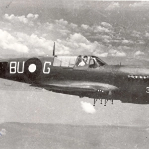 Curtiss Kittyhawk of the Australian Air Force