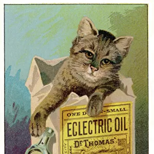 Electric Oil Remedy / 1890