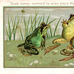 Frogs and grasshopper on a New Year card