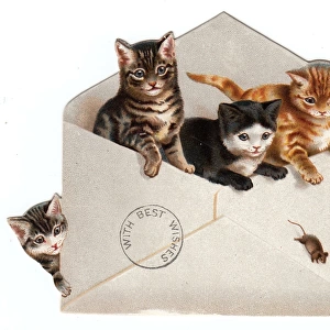 Four kittens and an envelope on a greetings card