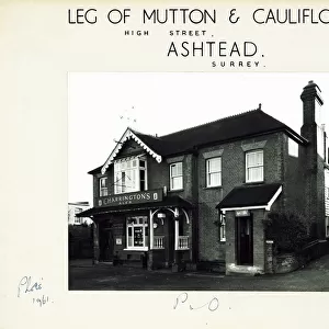 Leg of Mutton & Cauliflower PH, Ashtead, Surrey