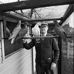 Old man in pigeon loft, Stoke