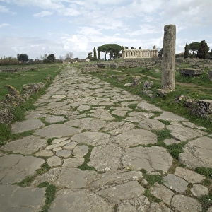 Paestum. Roman road and Temple of Athena