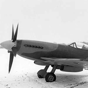 Supermarine Spitfire XIV MV259
