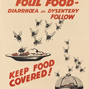 WW2 Poster -- Flies Foul Food -- Keep Food Covered