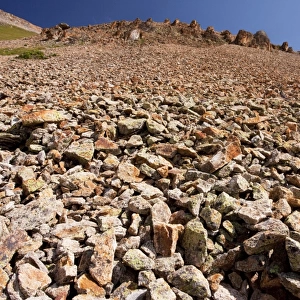 Large mountain scree slope at about 11, 000 feet, Bullion Lake-Porphyry area, San Juan Mountains, Colorado, USA, North America