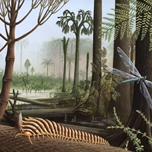 Carboniferous insects, artwork