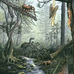 Eocene forest landscape, artwork C016 / 5349