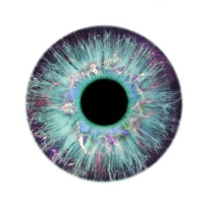 Human eye and nebula, composite image