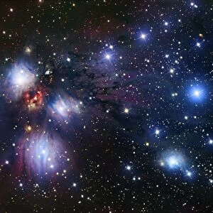 Reflection nebula (NGC 2170) C017 / 3737