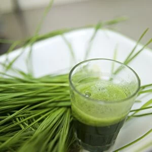 Wheat Grass juice