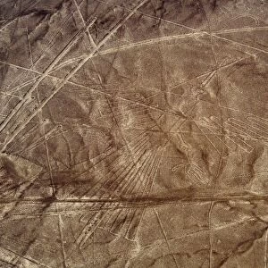 The Condor Geoglyph, aerial view, Nazca, UNESCO World Heritage Site, Ica Region, Peru