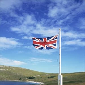 West Falkland, Westpoint Island, Falkland Islands, South America