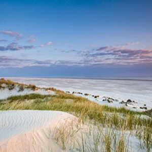 Dunes at dusk, Amrum Island, Northern Frisia, Schleswig-Holstein, Germany